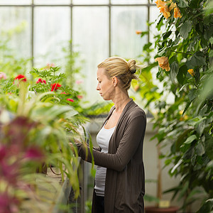 在温室工作的花女业主农业花艺花朵园艺成人女士零售花园园丁图片