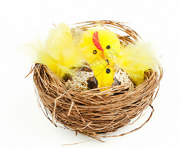 复活节鸡和母鸡的鸟巢图片