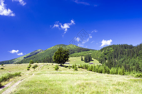 山高地貌喀尔巴阡山 乌克兰场地草原彩虹日落农村爬坡全景地标天空小路图片