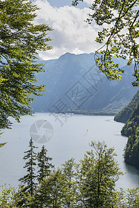 Koenigssee湖旅行蓝色公园假期教堂土地国王季节贤者国家图片