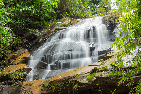 自然瀑布溪流丛林花园公园照片热带生长假期植物森林图片