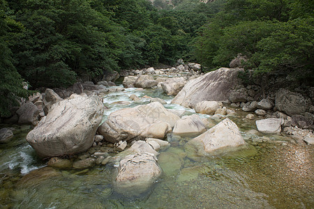 Kumgang 山石头岩石松树森林天空图片