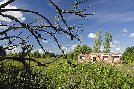 夏季风景和旧的废弃农场废墟图片