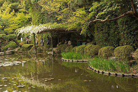 日式花园的风景 在海文神殿附近图片