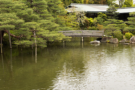 日本花园的风景 与松子文化花园园艺植物哲学旅行宗教公园神社叶子图片