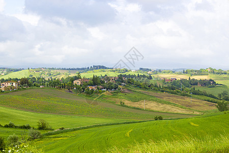 春季时典型的 tuscan 风景阴影草地环境国家植被草原农场场地日落场景图片