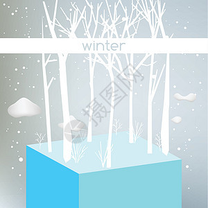 冬天季节蓝色森林仙境场景冻结降雪白色天空场地图片