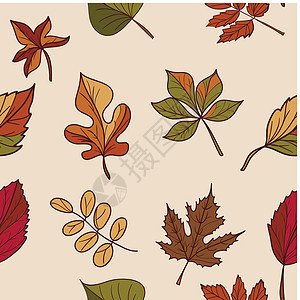 秋天的图案 秋天的落叶图案 森林树木的红叶 黄叶和绿叶 无缝纹理 用作填充图案或网页背景公园榆树叶子植物橡木桦木季节橙子植物学植图片