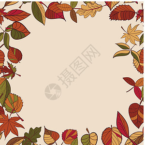 秋天的图案 秋天的落叶图案 森林树木的红叶 黄叶和绿叶 无缝框架 用作网页的背景 排列在文本之上 用作贺卡植物植物群叶子公园榆树图片