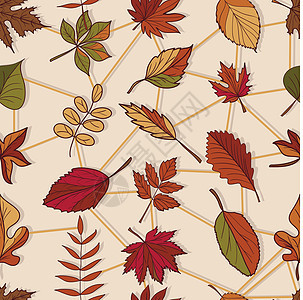 秋天的图案 秋天的落叶图案 森林树木的红叶 黄叶和绿叶 无缝纹理 用作填充图案或网页背景植物公园植物群树叶季节橙子植物学叶子榆树图片