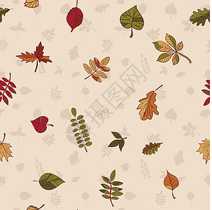 秋天的图案 秋天的落叶图案 森林树木的红叶 黄叶和绿叶 无缝纹理 用作填充图案或网页背景装饰品树叶植物桦木植物群插图植物学橡木橙图片