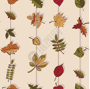 秋天的图案 秋天的落叶图案 森林树木的红叶 黄叶和绿叶 无缝纹理 用作填充图案或网页背景公园榆树桦木植物群橡木装饰品叶子植物插图图片