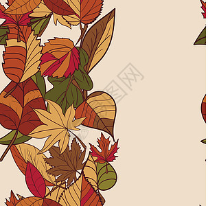 秋天的图案 秋天的落叶图案 森林树木的红叶 黄叶和绿叶 无缝边框 用作网页的背景 排列在文本之上 用作贺卡公园榆树橡木桦木植物群图片