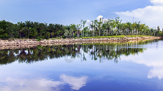 池塘  16x公园植物群天空蓝色植物热带场景阳光花园树木图片