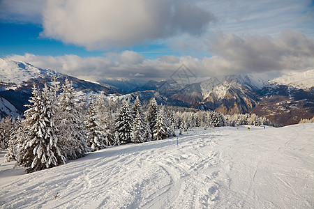 滑雪愁云运动树木滑雪者假期爬坡旅行高山乐趣娱乐图片