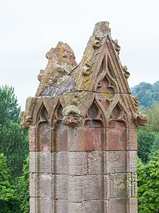 关于一个被遗忘的旧苏格兰修道院的细节石头阴影窗户废墟植物教会宗教图片