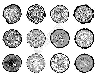 中继插图生活树桩日志木头历史黑色戒指同心森林图片