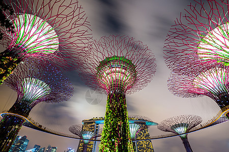 湾边的乐园景观码头旅行雕塑建筑学树林城市花园天际建筑图片