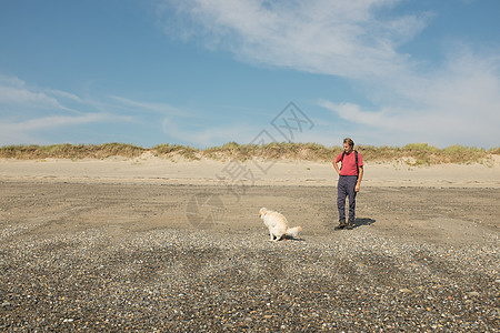 狗在海滩上排便图片