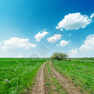绿地和蓝天空中的肮脏道路 有云图片