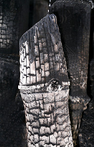 做墨水用的竹木炭木炭竹子黑色燃烧烧烤燃料材料热解烧伤生物图片