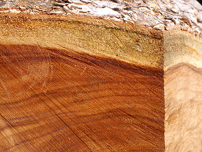 用于家具制造的木柴质制盘子材料木材建筑地面装饰框架粮食硬木木头图片