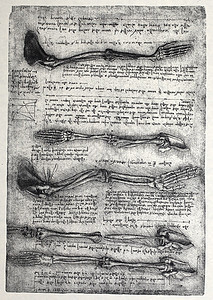 解解剖学古董草图艺术科学家身体生物学绘画卫生学习名声图片