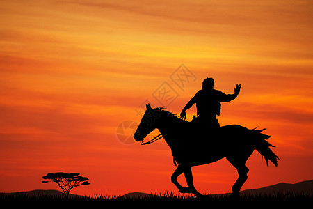 牛仔土地插图阳光骑术太阳天空牧场骑士乡村哺乳动物图片