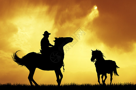 罗德牛仔阳光哺乳动物动物乡村天空太阳旅行日落插图牧场图片
