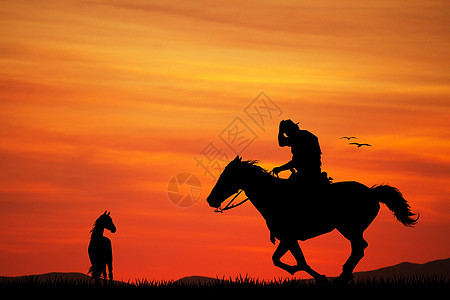 日落时人骑马阳光运动乡村天空太阳旅行动物骑术插图牧场图片