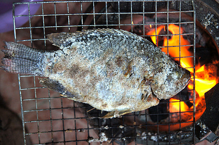 尼罗罗拉皮亚鱼在烤肉上 健康的食物健康饮食摄影食品水平煤炭减肥生活方式烧烤架背景图片