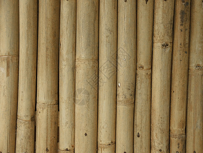 竹布墙墙纸栅栏棕色芦苇树枝褐色热带枝条宏观竹子图片