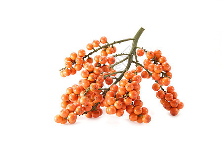 棕榈橙籽热带种子食物产品衬套橙子叶子坚果植物棕榈图片