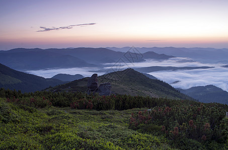 山高地貌喀尔巴阡山 乌克兰森林晴天地平线全景松树小路木头农业葡萄园农村图片