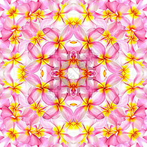 粉红色热带香味温泉黄色白色花园情调花瓣异国粉色图片