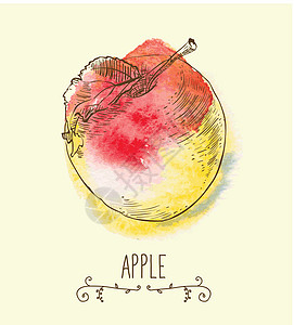 新的有益生态友好型苹果艺术品植物收藏农业收成水果健康饮食艺术叶子食物图片