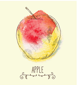 新的有益生态友好型苹果水果饮食艺术品收成健康饮食叶子艺术插图卡通片农业图片
