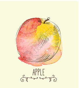 新的有益生态友好型苹果收成橙子食物收藏墨水插图水果卡通片植物团体图片
