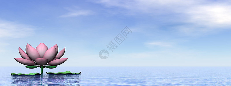 莉莉花  三维制叶子精神天空冥想瑜伽海洋百合插图粉色图片