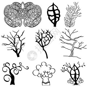 树剪影的集合橡木插图桦木收藏森林季节树干植物黑色木头背景图片