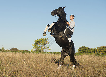 骑马男人男生骑术马术训练运动动物宠物青少年图片