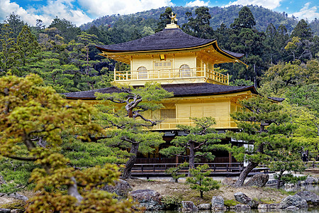 京角寺庙水池树木森林木头地标宗教城市建筑学传统神社图片