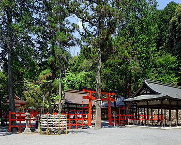 日本寺庙建筑纪念碑精神木头树木森林城市文化神社旅行图片