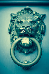 狮子的头敲门钟图片