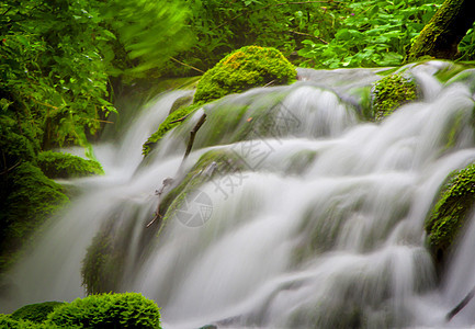 普利维茨湖瀑布天堂冒险森林叶子公园树叶荒野生态图片