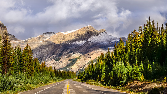 加拿大洛基山脉冰地公园路的景象观视树木风景荒野森林远足蓝色顶峰山脉天空旅游图片