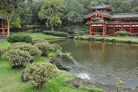 夏威夷比约多寺树木房子宗教传统信仰文化花园神社池塘寺庙图片