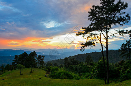 日落过高山脉天空景点风景草地松树爬坡薄雾蓝色高地地块图片