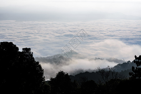 清晨云层的风景 浮云在波罗里耶拉上空森林高地国家热带景点顶峰爬坡天气阳光阴霾图片