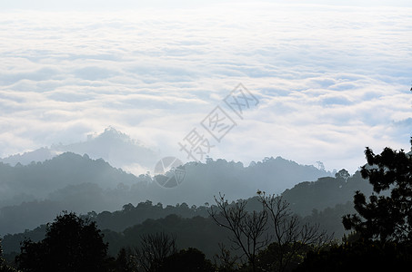 丰峪口云清晨云层的风景 浮云在波罗里耶拉上空高地阳光薄雾天气国家天空阴霾公园热带场景背景